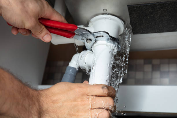 Best Flood damage cleanup  in Malta, IL
