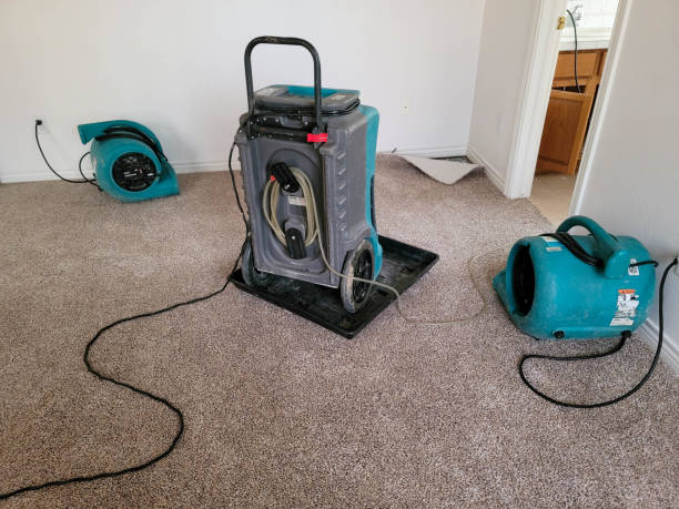 Best Mold removal after water damage  in Malta, IL