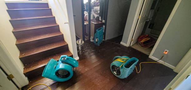 Best Water damage restoration cost  in Malta, IL