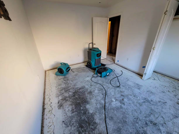 Best Sewage cleanup and water damage restoration  in Malta, IL