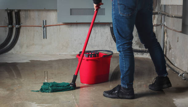  Malta, IL Water damage restoration Pros