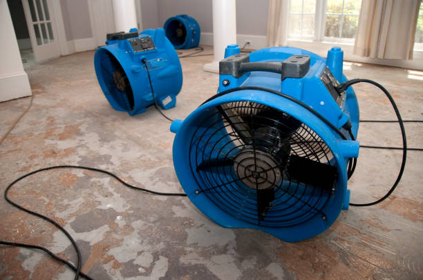 Best Carpet water damage restoration  in Malta, IL