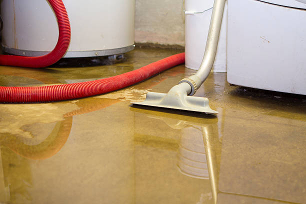 Best Emergency water damage restoration  in Malta, IL