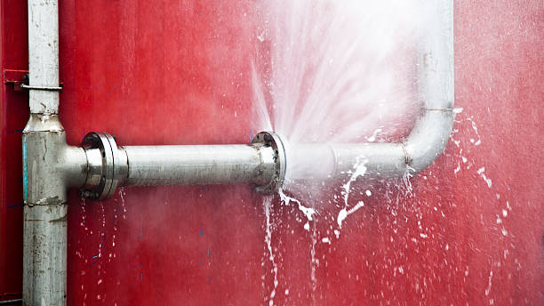 Best Water damage contractors near me  in Malta, IL
